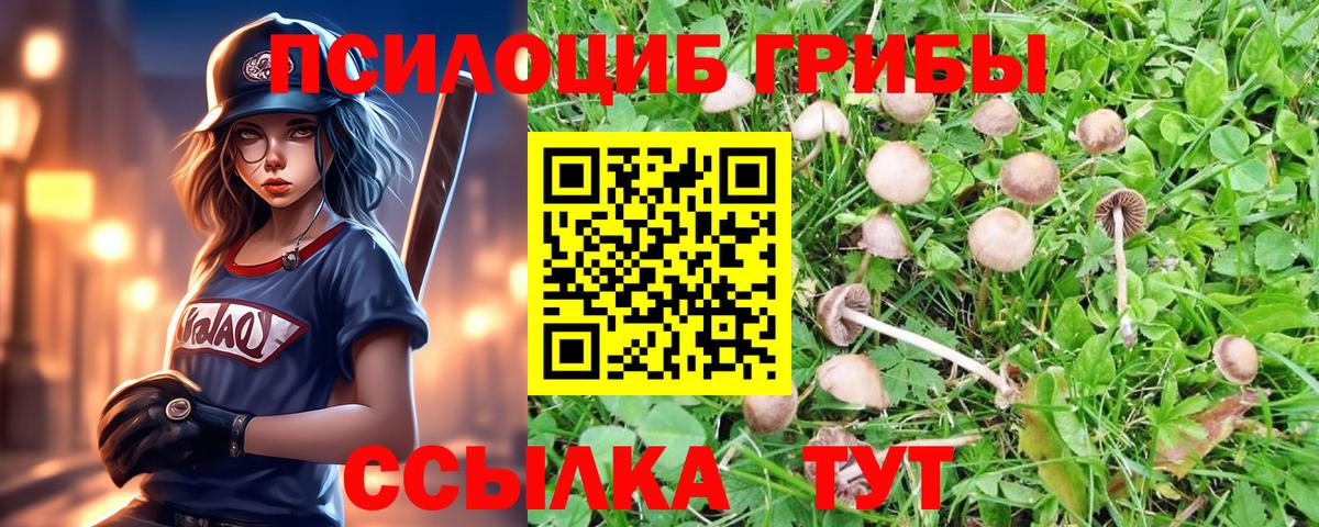 Псилоцибиновые грибы Psilocybine cubensis  Галлюциногенные грибы Psilocybine cubensis  Кореновск  Вход с VPN 